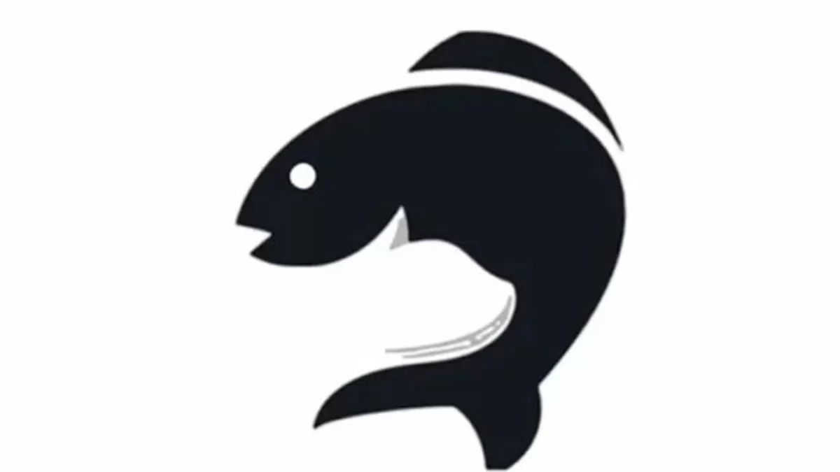 Teste de personalidade: o gato e o peixe.