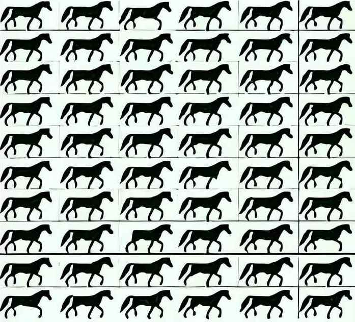 Encontre os 3 cavalos de 3 pernas.