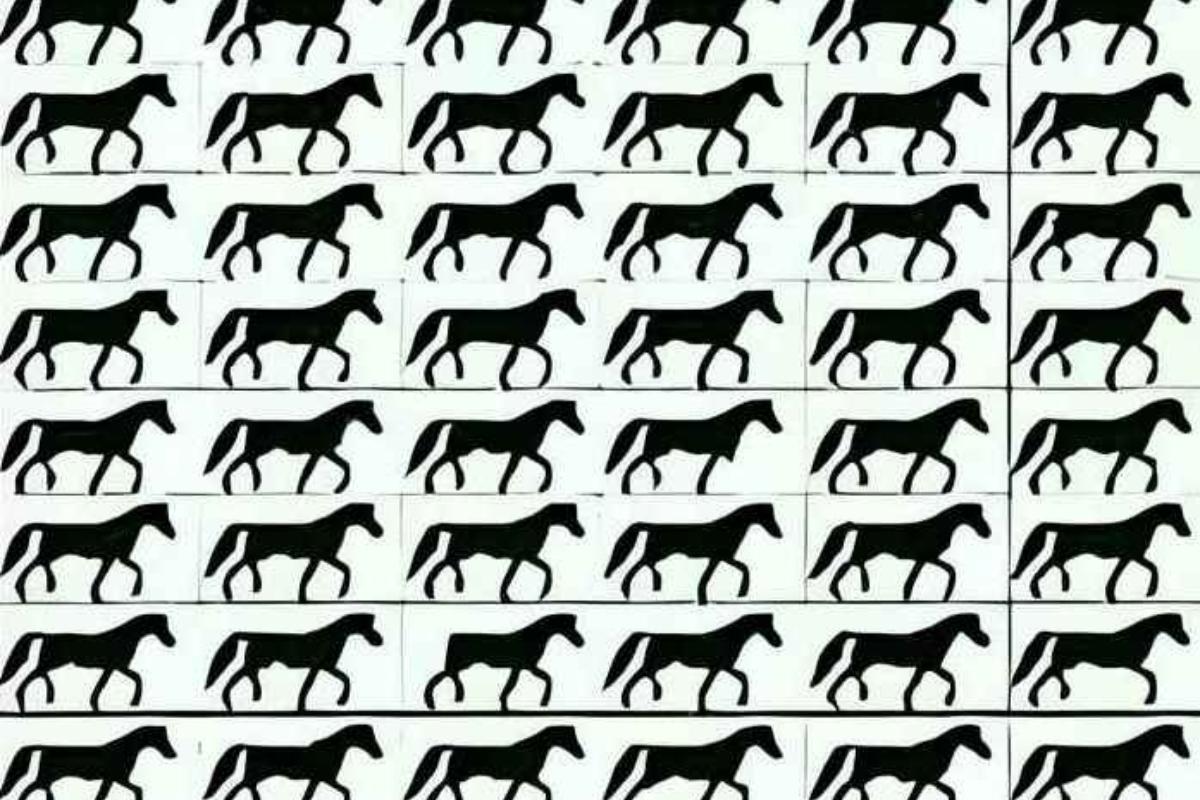 Encontre os 3 cavalos de 3 pernas.