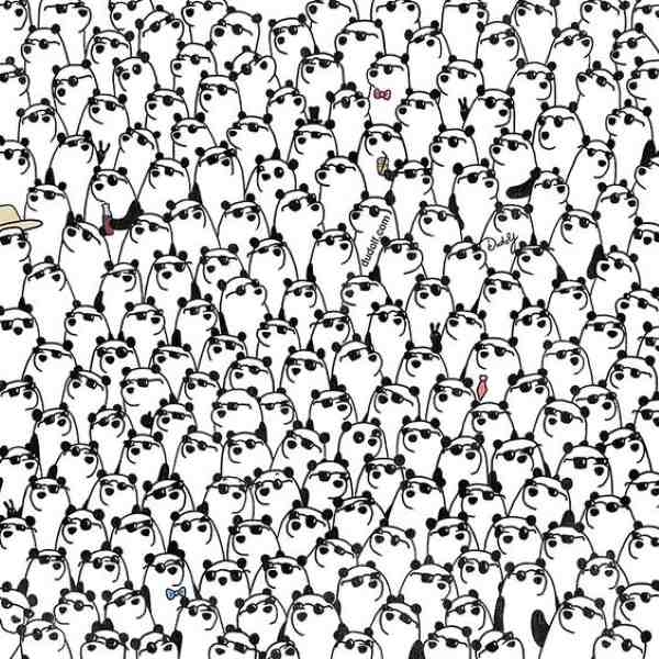 Encontre os pandas sem óculos na imagem.
