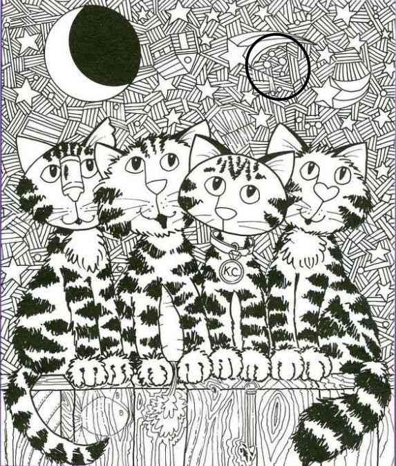 Resposta de onde está a pizza entre os gatos.