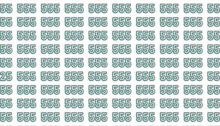 Encontre o número 525 neste desafio visual.