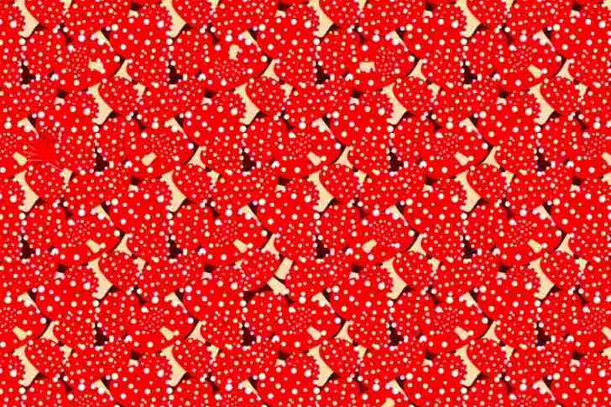 Encontre o polvo entre os corações.