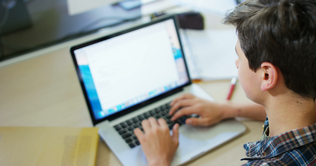 O relatório de estágio deve registrar todas as atividades desenvolvidas pelo estagiário. Imagem: Reprodução