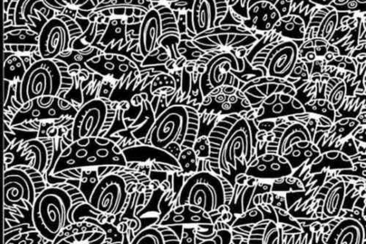 Encontre o carro escondido neste desafio.