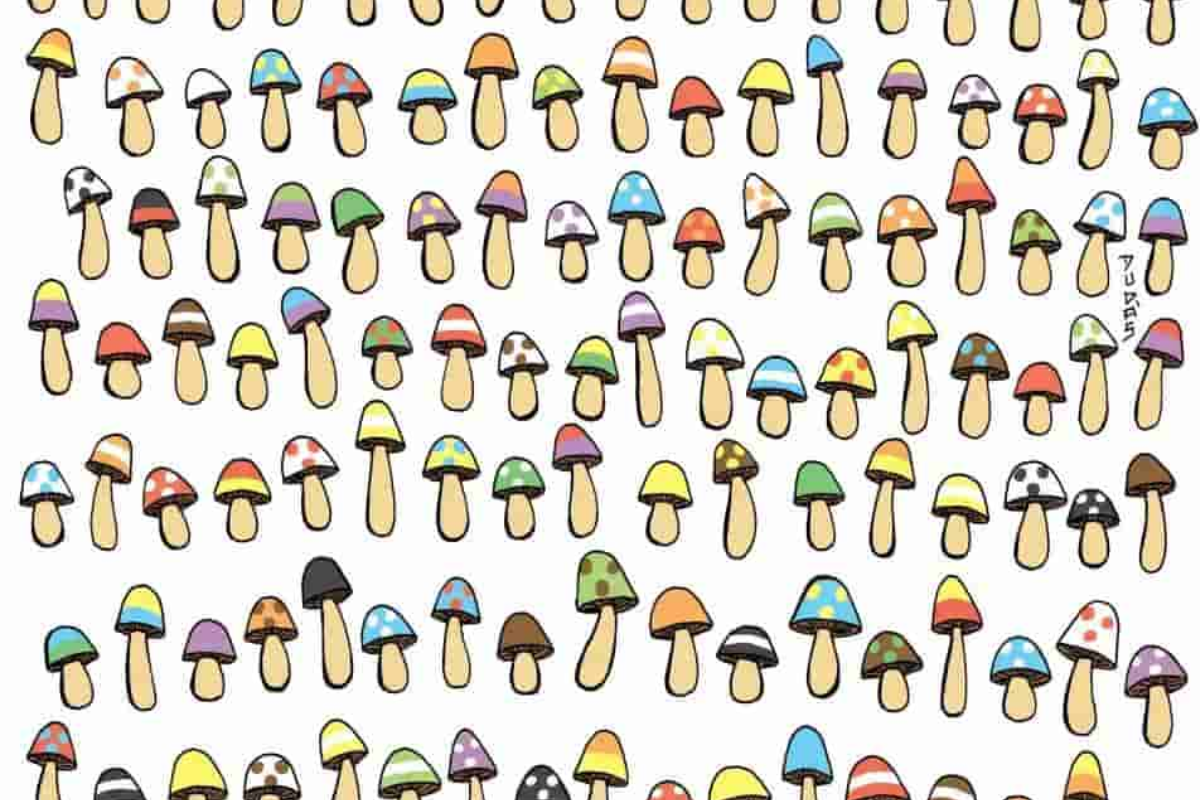 Encontre o cogumelo sem par neste desafio. Fonte: Dudolf