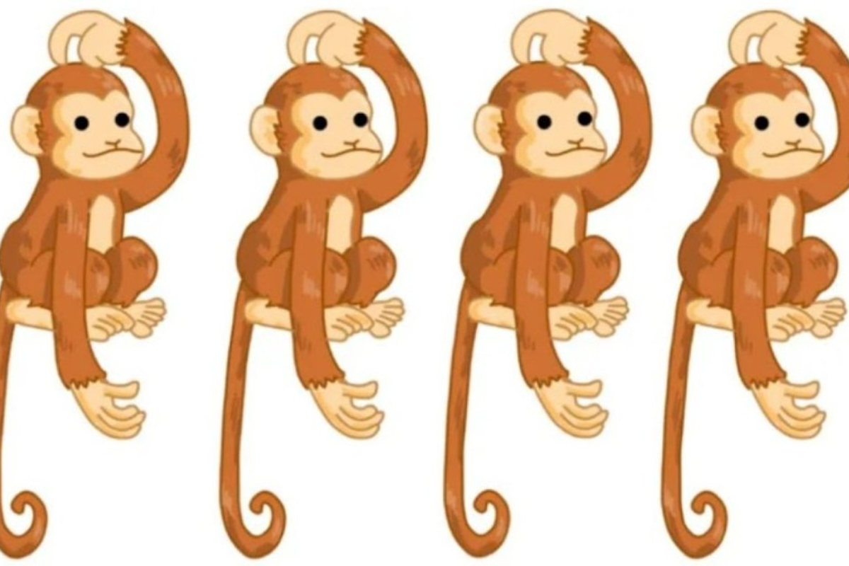 Encontre o macaco diferente neste desafio visual. Fonte: Jagran Josh.