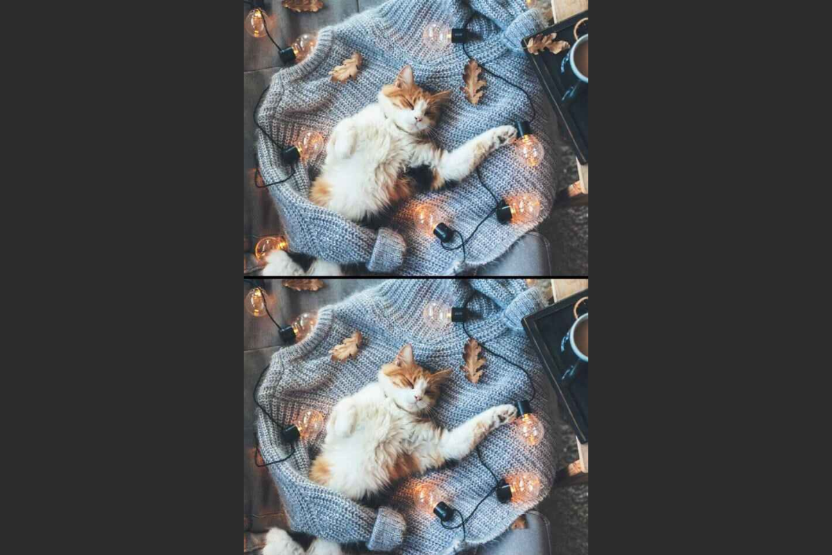 Jogo dos cinco erros. Fonte: Jagran Josh.