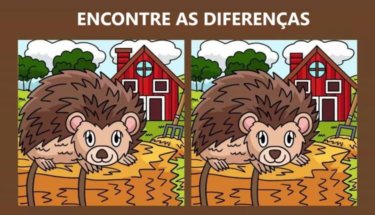 Raciocínio Lógico: descubra as 4 diferenças entre as imagens do ouriço
