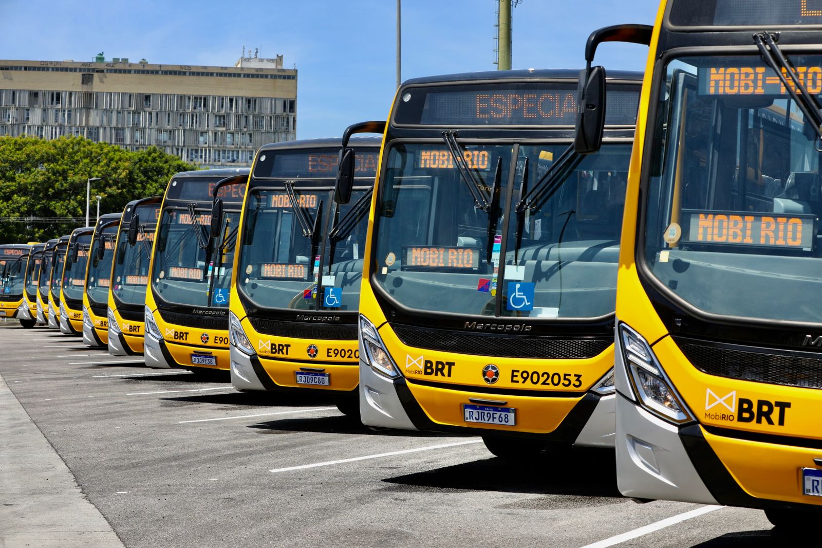 Descubra agora o plural de "ônibus"