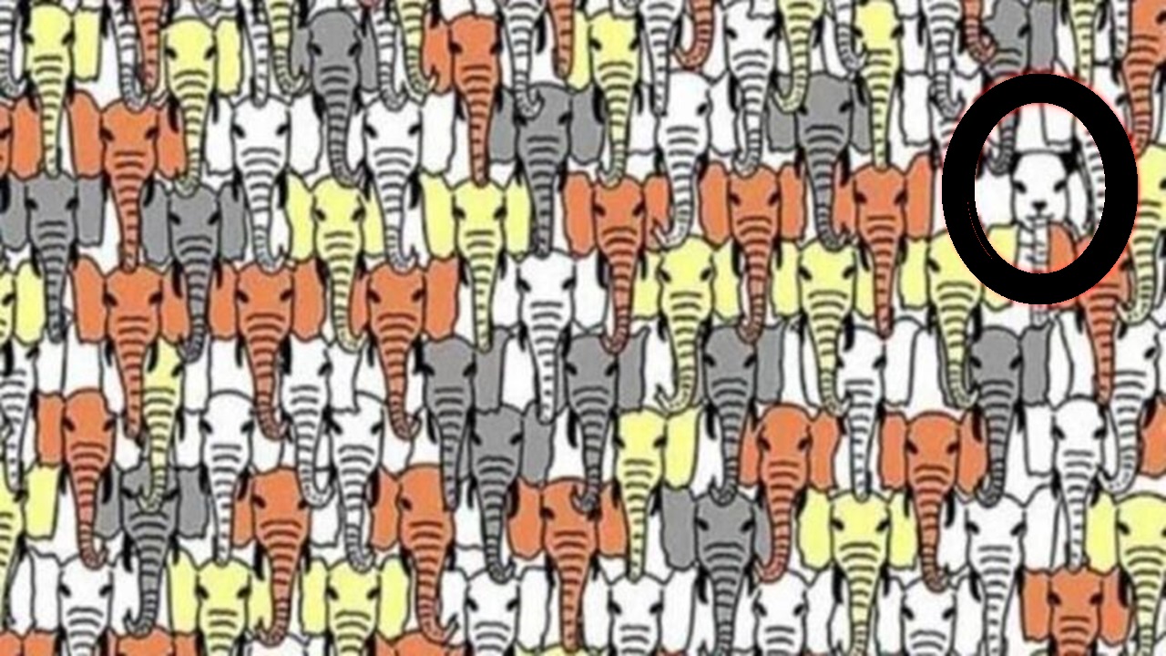 Desafio Visual: localize o panda em menos de 15 segundos