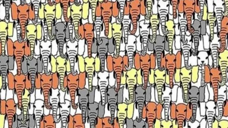 Desafio Visual: localize o panda em menos de 15 segundos