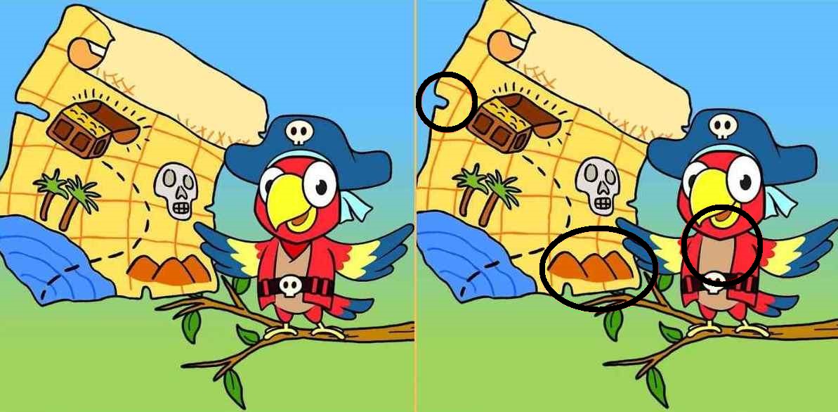 Raciocínio Lógico: descubra 3 diferenças entre as imagens do papagaio pirata