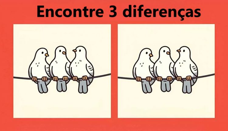 Teste de QI: descubra as 3 diferenças entre as imagens dos pombos
