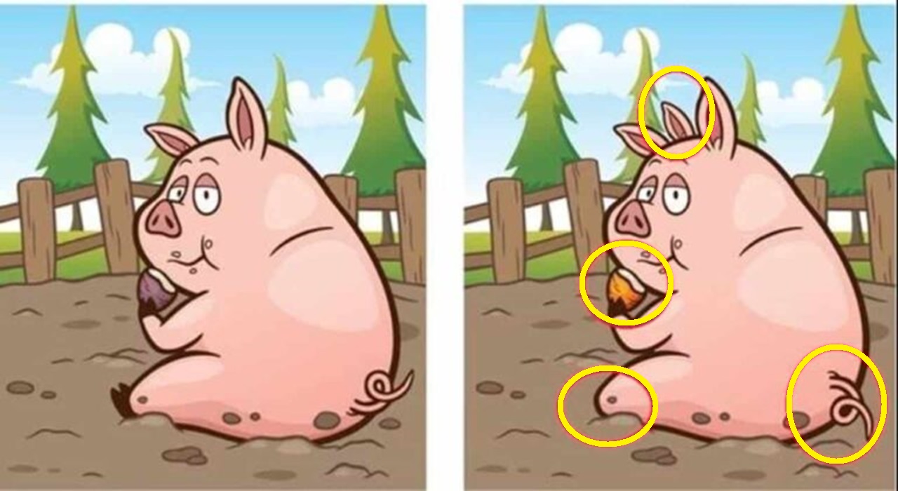 Raciocínio Lógico: identifique as 4 diferenças entre as imagens