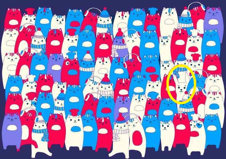 Ilusão de Ótica: será que você consegue encontrar o coelho entre os gatos?