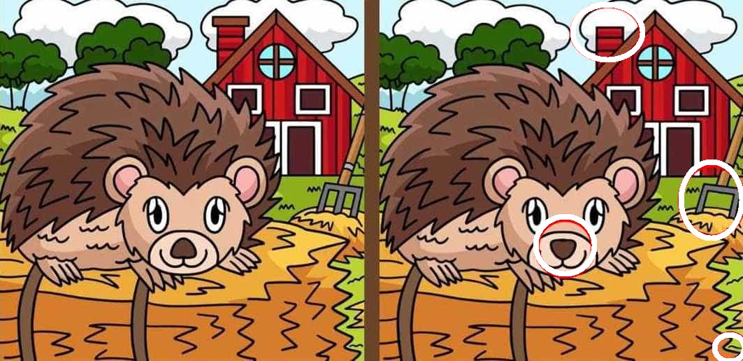 Raciocínio Lógico: descubra as 4 diferenças entre as imagens do ouriço