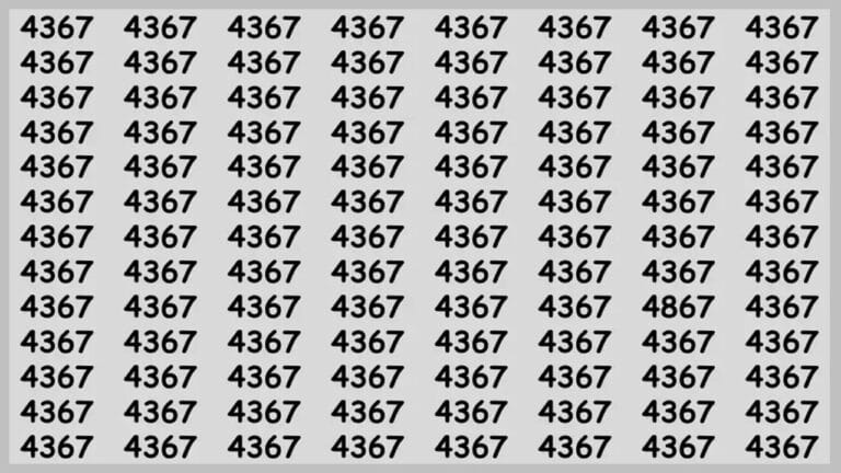 Desafio Visual encontre o numero 4867