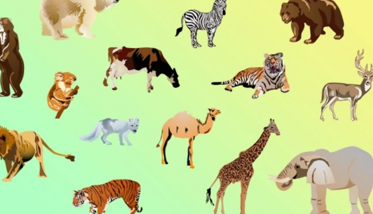 Desafio visual do animal que não pertence ao grupo. Fonte: Jagran Josh.