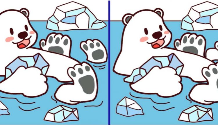Desafio visual - 3 erros do urso polar. Fonte: Jagran Josh.