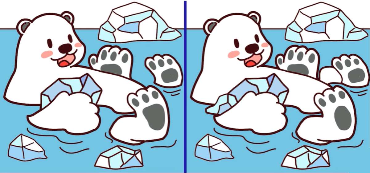Desafio visual - 3 erros do urso polar. Fonte: Jagran Josh.