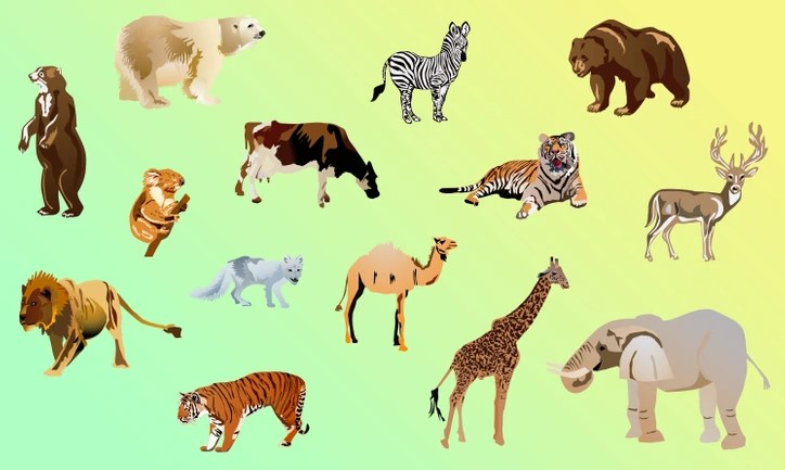 Desafio visual do animal que não pertence ao grupo. Fonte: Jagran Josh.
