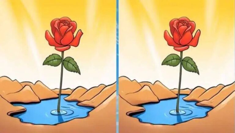 encontre três diferenças no desafio visual