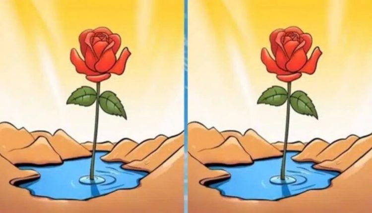 encontre três diferenças no desafio visual