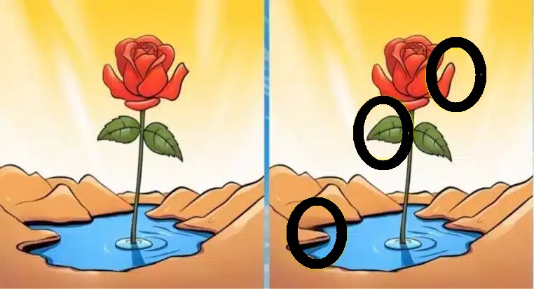 encontre três diferenças no desafio visual solução