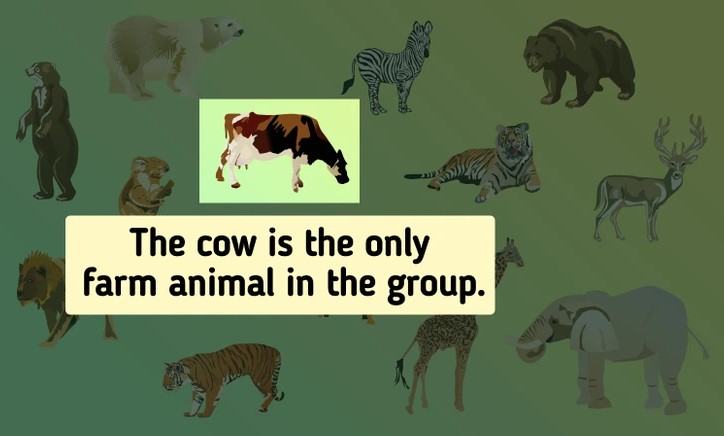 Resposta do desafio do animal que não pertence ao grupo. Fonte: Jagran Josh. 