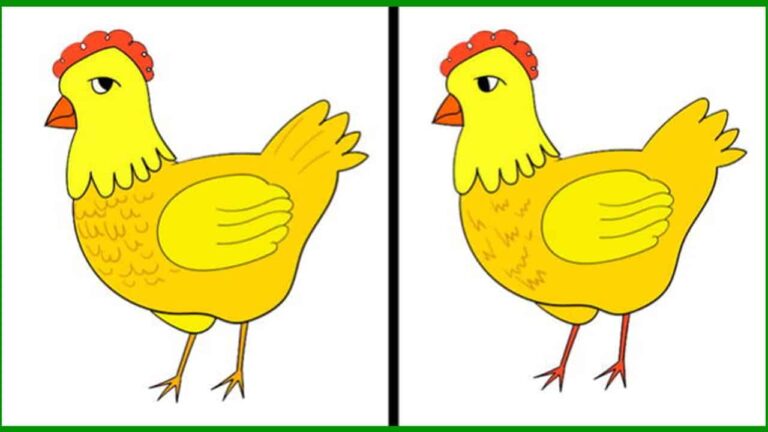 Imagem de duas galinhas com diferenças visuais para encontrar