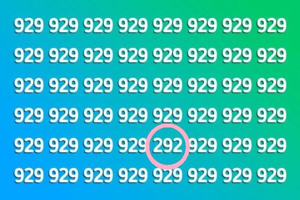 Solução do desafio visual com a imagem com várias repetições do número 929, criando um desafio visual para encontrar um número diferente.