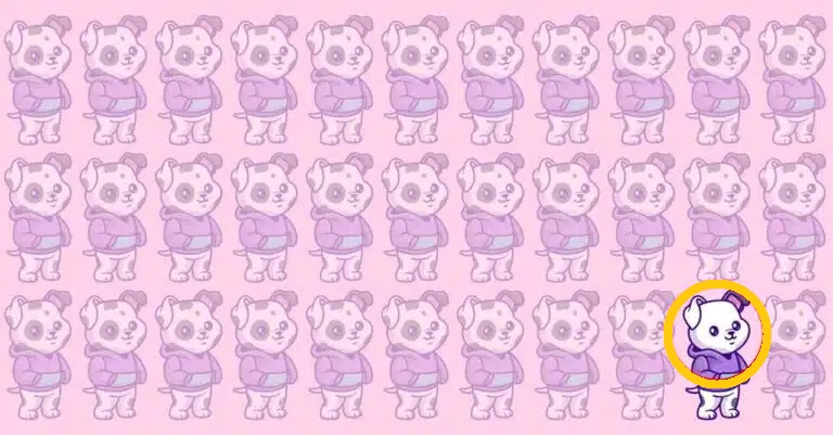 Solução do desafio visual ilustração repetitiva de cachorros com moletom roxo em um fundo rosa, com pequenas diferenças escondidas.