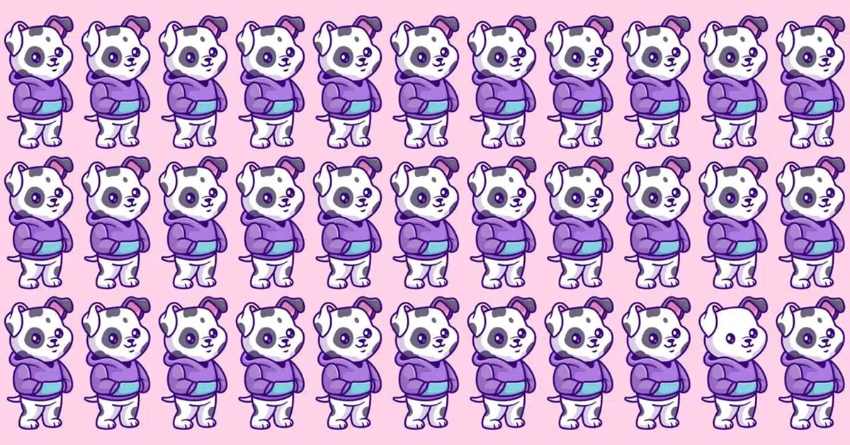 Ilustração repetitiva de cachorros com moletom roxo em um fundo rosa, com pequenas diferenças escondidas.