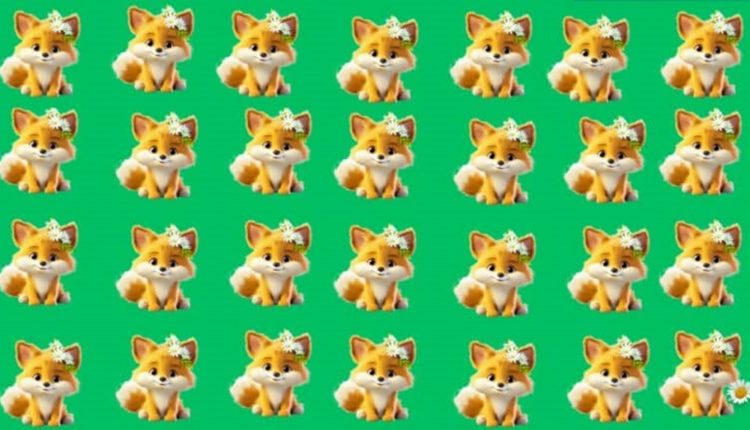 raposa diferente para identificar neste teste visual