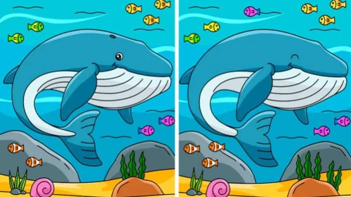 São apresentadas duas imagens quase idênticas, onde o objetivo é encontrar as 10 diferenças entre elas.