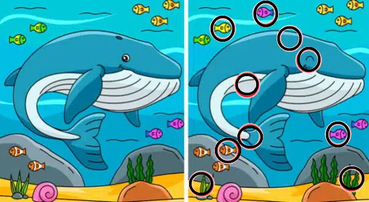 Solução da imagem de um desafio visual com uma baleia no fundo do mar. São apresentadas duas imagens quase idênticas, onde o objetivo é encontrar as 10 diferenças entre elas.