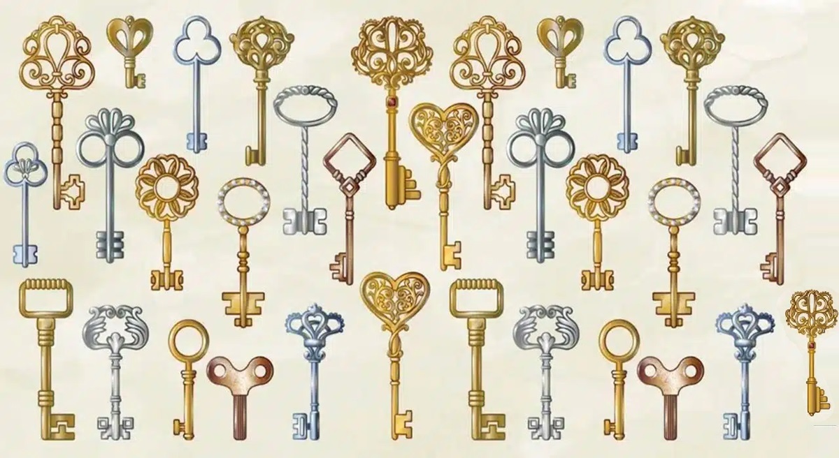 Imagem com diversas chaves de diferentes formas e cores. O desafio é encontrar a chave única que se destaca.