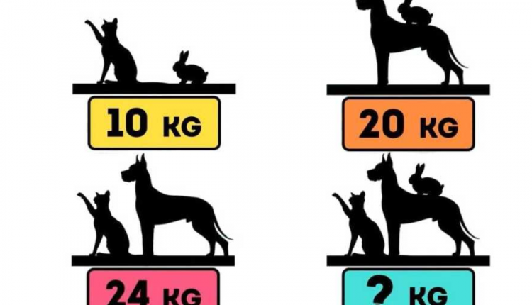 Desafio matemático dos animais. Fonte: Jagran Josh.