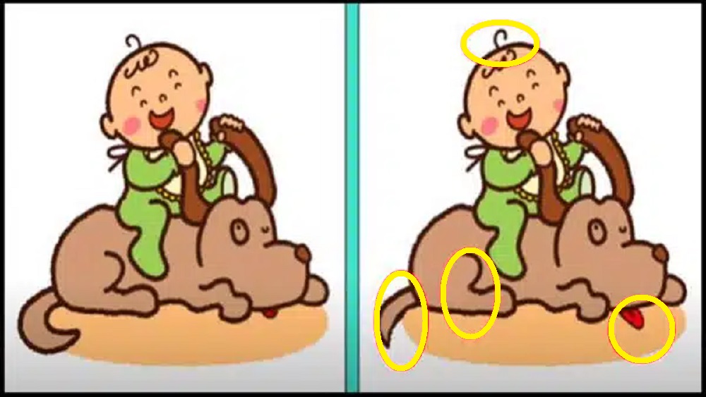 Solução do desafio visual de um menino sorridente montado em um cachorro, com diferenças sutis entre as duas imagens.
