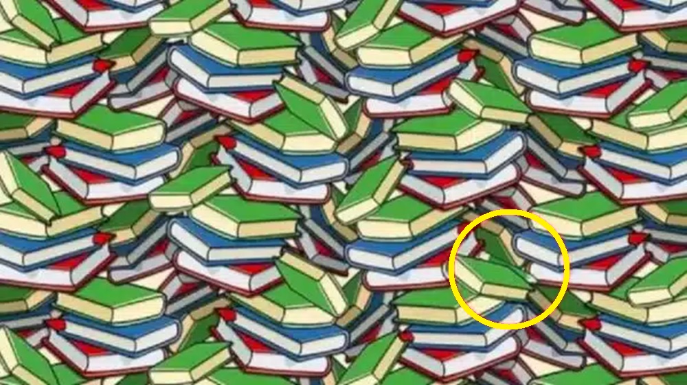 Solução imagem de um desafio visual mostrando pilhas de livros coloridos, com um lápis escondido entre as páginas