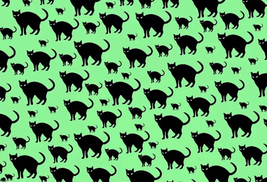 Desafio visual - encontre o rato entre os gatos. Fonte: Jagran Josh.