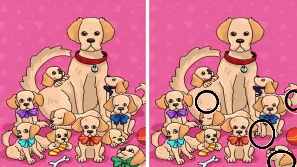 Solução do desafio lógico de um grupo de cachorros com diferenças sutis entre as duas imagens, desafiando o observador a encontrá-las