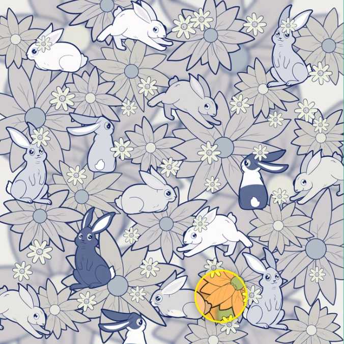 Resposta do desafio visual da cenoura entre os coelhos. Fonte: Jagran Josh.