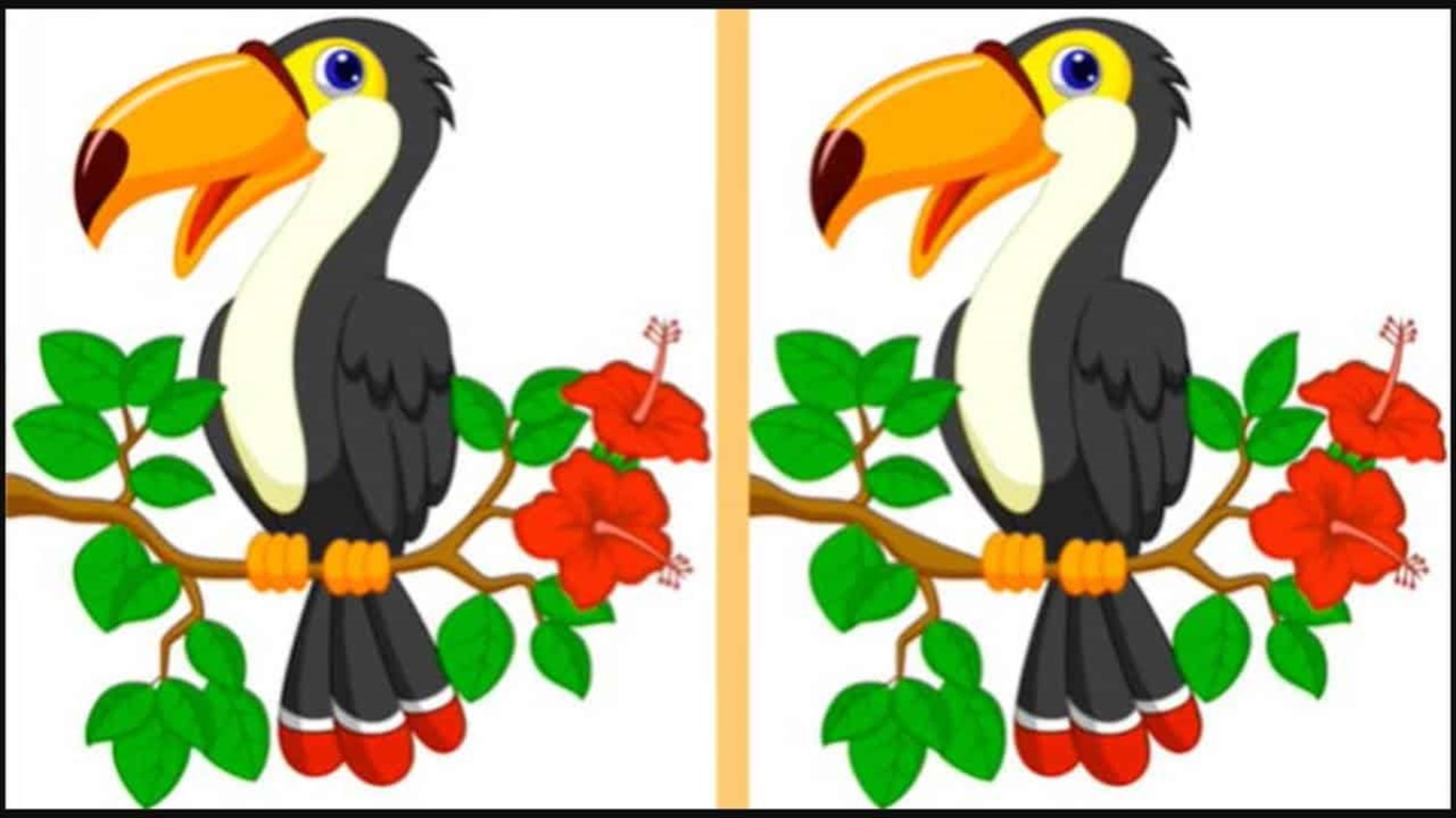 Teste de QI com uma imagem de dois tucanos em uma árvore, onde o desafio é encontrar as diferenças entre as duas imagens.