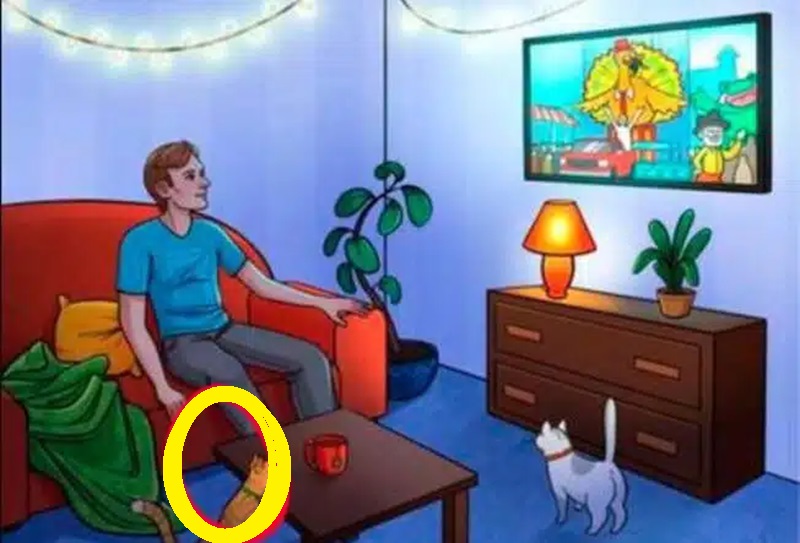 Homem sentado em sofá assistindo TV em uma sala decorada com plantas, gatos e luzes.