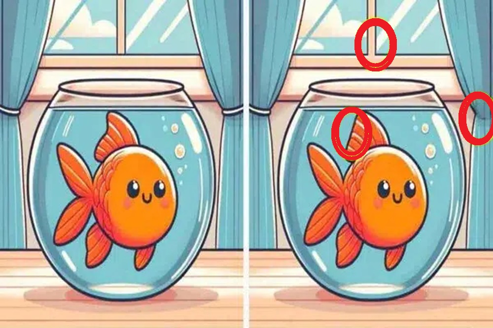 Solução do teste de QI com imagem ilustrativa mostrando dois aquários com peixes dourados, cada um com pequenas diferenças.