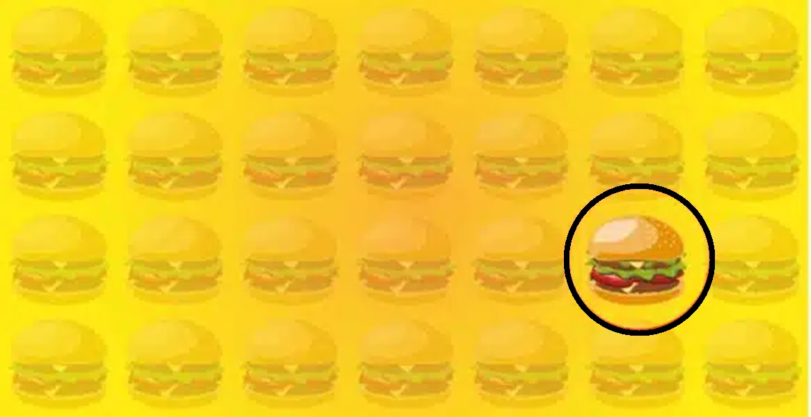 Solução do teste visual de hambúrgueres em uma grade com um hambúrguer diferente