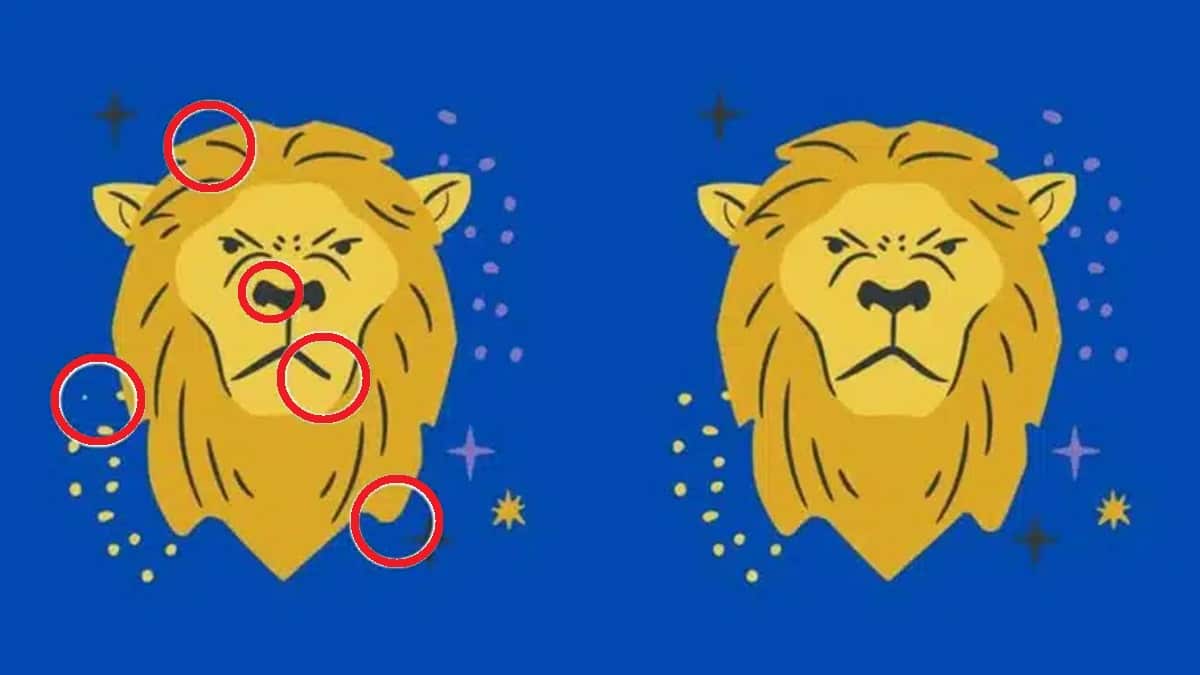 Solução para imagem de dois leões desenhados com linhas simples e fundo azul, parte de um desafio visual para encontrar as cinco diferenças.
