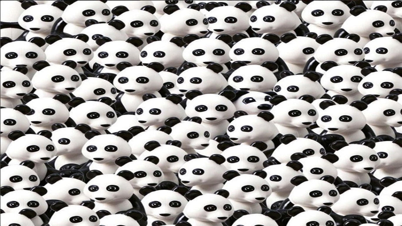Desafio visual com vários pandas agrupados com um cachorro disfarçado entre eles.